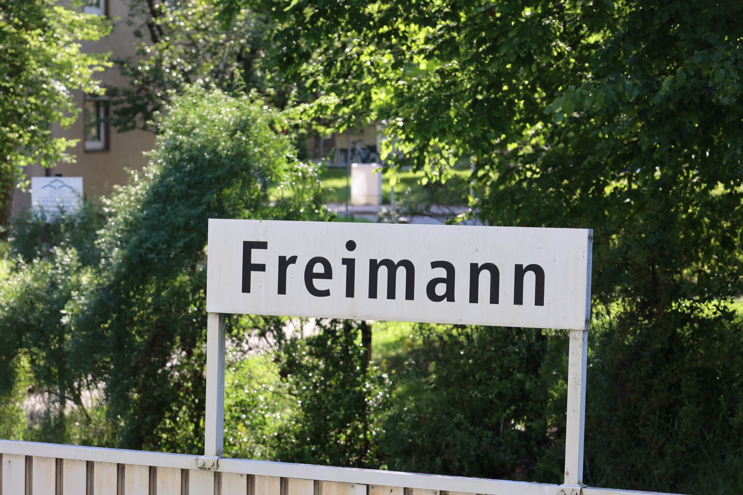 Freimann sign photographed by Hanwen Liu